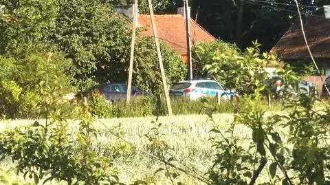 Nie żyje 7-letnia dziewczynka, którą zaatakowały psy. Sprawę wyjaśnia prokuratura