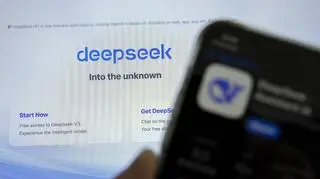 DeepSeek, zdjęcie poglądowe