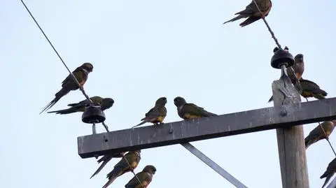 021019 ABRAMOWICZ SR