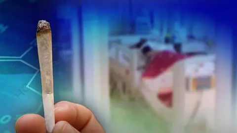 Nawozy sztuczne, gips, sproszkowane szkło. Co dopisują dealerzy