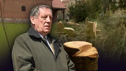 Zniszczone drzewa na działce ministra ochrony środowiska