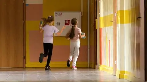 "Nie możemy tracić priorytetów, dla których powstała". Część organizacji przeciw nowelizacji "ustawy Kamilka"