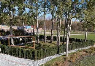 Krakowski cmentarz oferuje możliwość pochówku ekologicznego