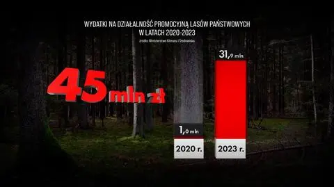 Zjednoczona Prawica wydawała setki milionów z Lasów Państwowych na wiele rzeczy, ale nie na lasy