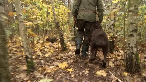 Myśliwi zabiegają o zmiany w polowaniach. Mają w tych kwestiach potężnego sojusznika w rządzie