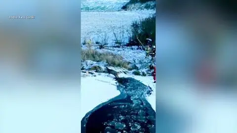 Strażak uratował psa, pod którym załamał się lód na zbiorniku w Zduńskiej Woli