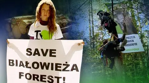 "Lasy Państwowe przekraczają wszelkie granice"
