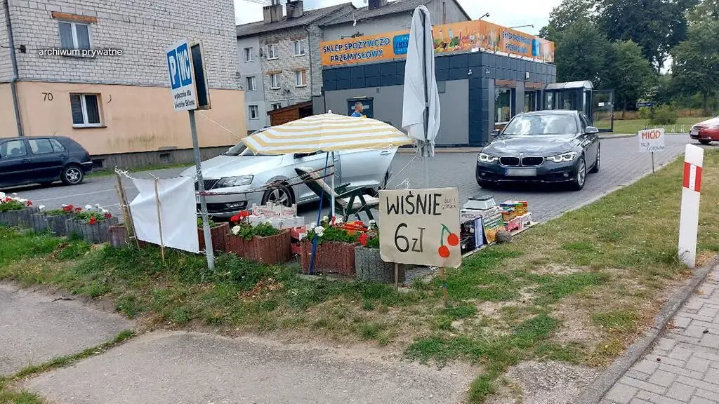 Marysia chciała zarobić na wycieczkę szkolną. Sprzedawała wiśnie z sadu dziadka