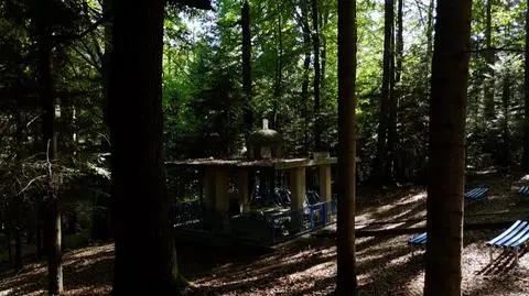 To mniej znane oblicze Holokaustu. Film "Rozproszona zagłada" w TVN24 i TVN24