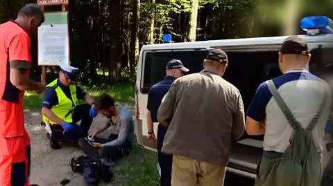 Wycinka w Puszczy Białowieskiej trwa. Pobito operatora Polsat News
