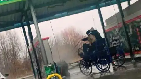 Umyli konia na myjni samochodowej. "Zachowanie bardzo nieodpowiedzialne"