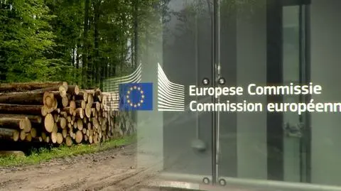 Sprawa Puszczy Białowieskiej trafia do Trybunału Sprawiedliwości UE