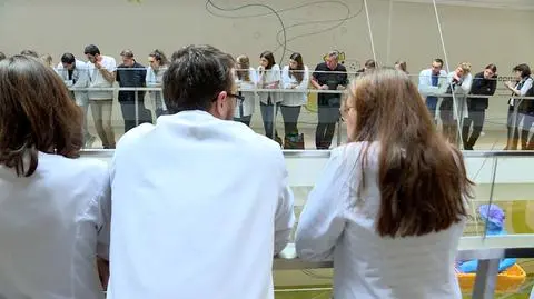 Polscy studenci medycyny oczekują za granicą nie tylko większych zarobków, ale też większego szacunku