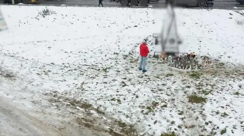 Śmierć 14-letniej Natalii wstrząsnęła Polską. Pojawiają się pytania, czy policja nie zareagowała za późno