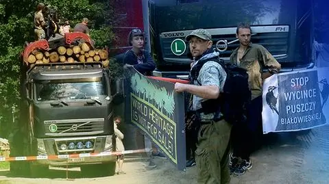 Ekolodzy wstrzymali wywóz drewna z Puszczy. "Małe zwycięstwo"