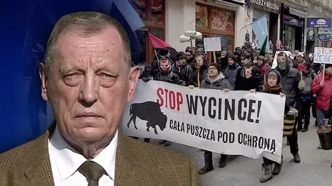 Więzienie dla ekologów za blokowanie urzędniczych decyzji?