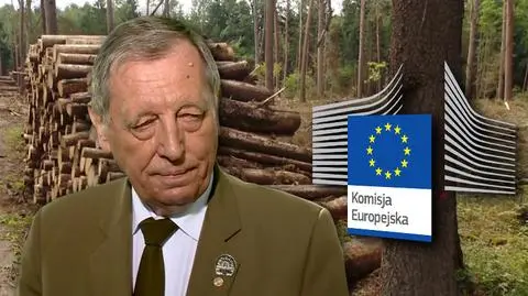 "Traktują nasze lasy jak prywatny folwark". Wycinka w puszczy trwa