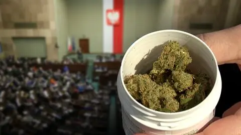 Kiedy medyczna marihuana będzie legalna? Prace w Sejmie trwają