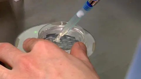 15 maja mija termin na zgłoszenia do rządowego programu refundacji in vitro