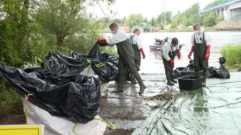 Morawiecki: za zatruciem Odry stoją przyczyny naturalne. Eksperci się nie zgadzają