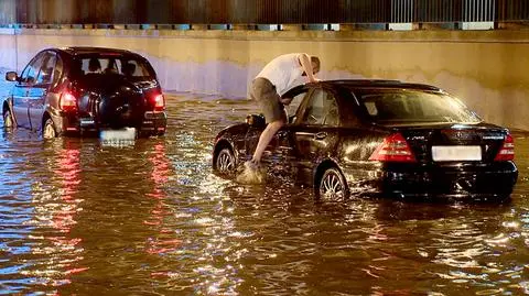 "Zimni ogrodnicy" w Polsce. To majowy mróz. Rolnicy liczą straty