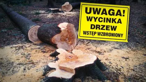 Komu podoba się "prawo Szyszki"? Sprawdził to dziennikarz "Faktów" TVN