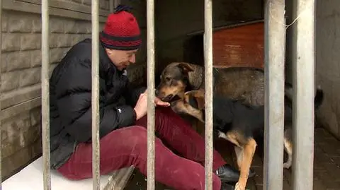 „Zwierzę nie powinno być prezentem”. Protest z klatki