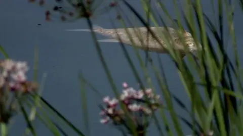 170819 KOSTKOWSKI CZ-000267