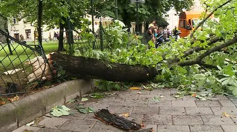 Kraków po przejściu nawałnicy. Strażacy wzywani ponad 150 razy