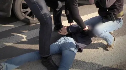 Granaty hukowe i psy tropiące. Akcja CBŚP rozbiła grupy narkotykowe