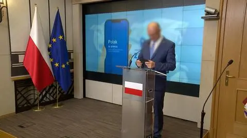 Former deputy foreign minister detained over visa scandal