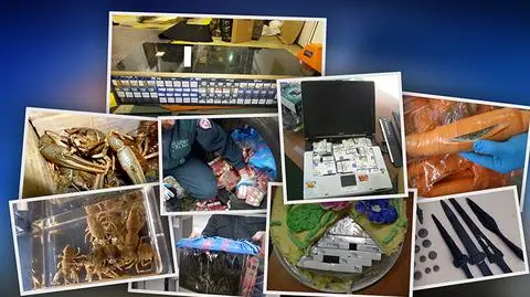 Z czym muszą mierzyć się celnicy