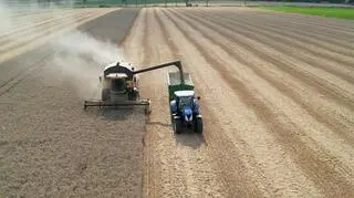 Ukraine had been moving 60% of its exports through the Solidarity Lanes