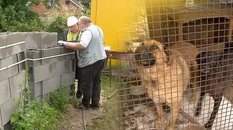 Stracili dom, który był azylem dla zwierząt. Pomogli widzowie "Faktów"