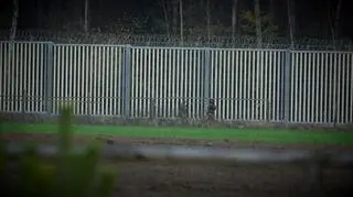 Zapora na granicy polsko-białoruskiej 