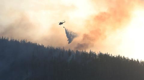 04.05.2018 | Potężny pożar lasu w słowackich Tatrach. Strażacy starają się, by się nie rozprzestrzeniał