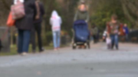 07.08.2017 | Rośnie liczba dzieci odbieranych Polakom na Wyspach Brytyjskich