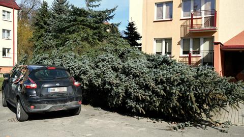 10.03.2019 | Nocna wichura wyrządziła duże szkody. Ostrzeżenia wciąż obowiązują