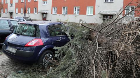 11.03.2019 | Zniszczone domy, pozrywane sieci. Po wichurach ma przyjść deszcz