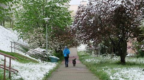 12.05.2020 | Śnieg w maju, połamane drzewa i zerwane dachy. "Pogoda jest nieprzewidywalna"