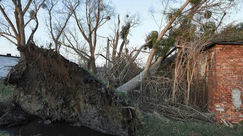 13.03.2020 | Połamane drzewa, zniszczone samochody i jedna ofiara śmiertelna. Nad Polską przeszły silne wichury