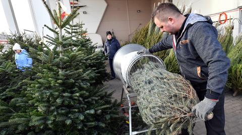 16.12.2019 | To będzie wyjątkowo ciepły grudzień