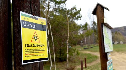 19.04.2020 | Część ograniczeń zostanie w poniedziałek zniesiona lub poluzowana. Co trzeba wiedzieć?