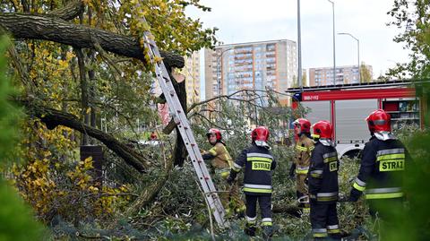 21.10.2021 | Gwałtowne wichury nad Polską. Tysiące interwencji strażaków, nie żyją cztery osoby