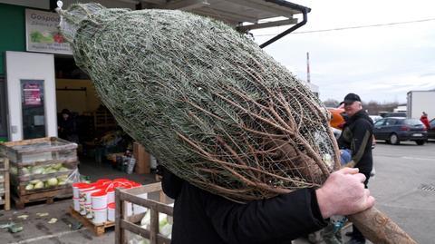 22.12.2019 | Ostatnia prosta przed świętami. "To jeszcze nie jest apogeum"