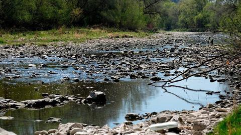 23.04.2020 | Brakuje wody w rzekach. Hydrolodzy ostrzegają