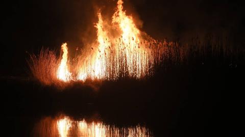 23.04.2020 | Płonie Biebrzański Park Narodowy. Chęć pomocy z całej Polski, "odzew jest niesamowity"