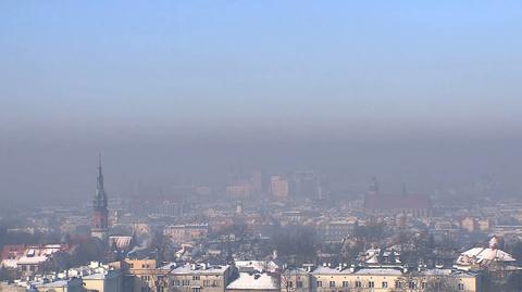 Krakowscy uczeni odkryli, że smog może wywoływać alergię