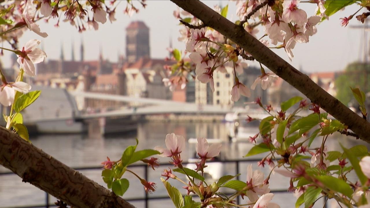 Jak wygląda pogodowa mapa Polski w najbliższych dniach?