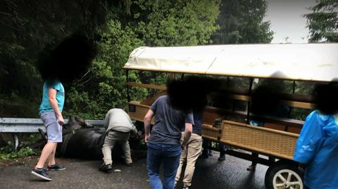 19.06.2020 | Wypadek na drodze do Morskiego Oka. Rannego konia trzeba było uśpić